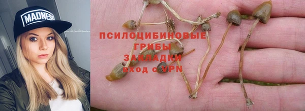кокс Алексеевка