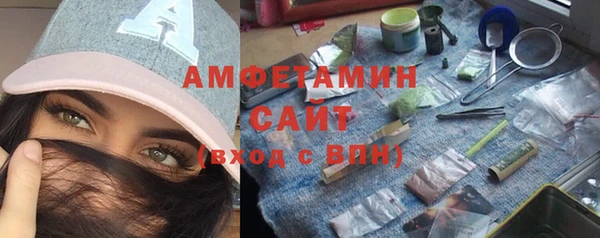 хмурый Алексин